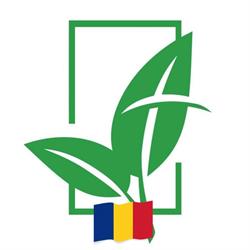 Biserica Baptistă Locală Timişoara, program de funcționare