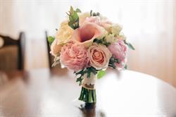 Noblesse Flowers & Events - nunti Cluj, program de funcționare