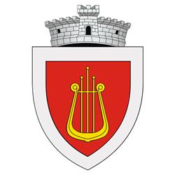 Primăria Ciprian Porumbescu, program de funcționare