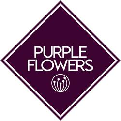 Purple Flowers, Bucureşti program de funcționare