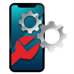 Team Mobile Online, Cluj-Napoca program de funcționare
