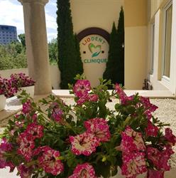 Liodent Clinique, Sibiu program de funcționare