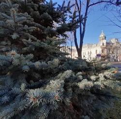 Centrul de Creaţie, Brăila program de funcționare