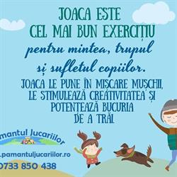 Pamantul Jucariilor Srl, Floreşti program de funcționare