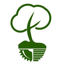 FORESTFALT SERVICII SRL, Fălticeni program de funcționare