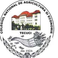 Colegiul Naţional de Agricultură şi Economie Tecuci, program de funcționare