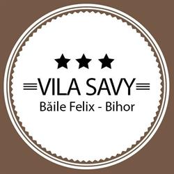 Vila Savy - Băile Felix, program de funcționare