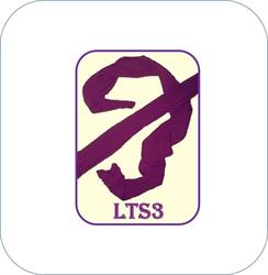 Liceul Tehnologic Special Nr. 3, Bucureşti program de funcționare