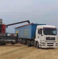 Regan Trans - Transport Marfa, Răchiţi program de funcționare