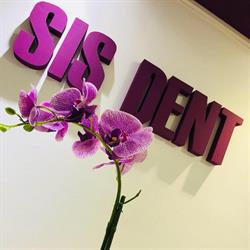 SIS Dent, Timişoara program de funcționare