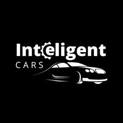 Inteligent Cars, Bragadiru program de funcționare
