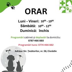 SC ANDROVET SRL, Cisnădie program de funcționare
