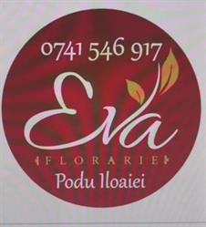 Florăria Eva, Podu Iloaiei program de funcționare
