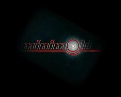 Minimold International, Timişoara program de funcționare