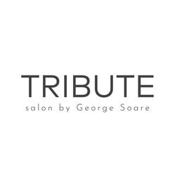 TRIBUTE SALON by George Soare, Bucureşti program de funcționare