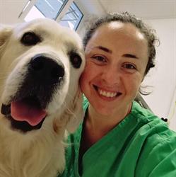 Clinica Veterinară Sante Vet, Iaşi program de funcționare
