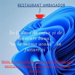 Ambasador Slatina, program de funcționare