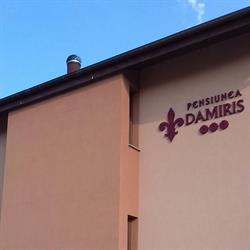 Pensiunea Damiris, Băile Felix program de funcționare