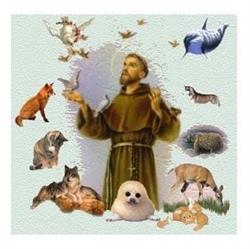 Biserica "Sfântul Francisc de Assisi", Târgovişte program de funcționare
