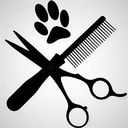 Petshop Si Acvaristica Barlad Ham Ham, program de funcționare