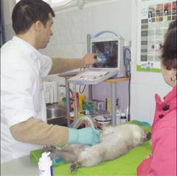 Cabinet Veterinar Toma's, Târgu Neamţ program de funcționare