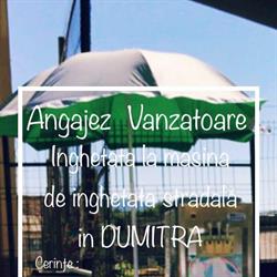 Service Calculatoare Dumitra, program de funcționare