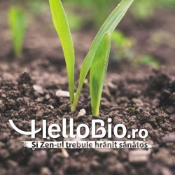 HelloBio, Breaza program de funcționare
