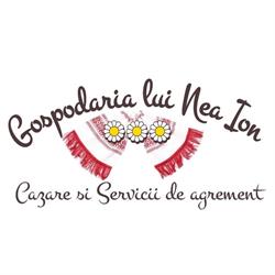 Gospodaria lui Nea Ion, Vama Buzăului program de funcționare