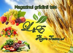 Fitofarmacie L&E AgroTeam srl, Gherla program de funcționare