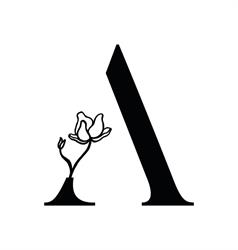 Avantflor, Drobeta-Turnu Severin program de funcționare
