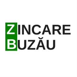 Zincare Buzau, program de funcționare