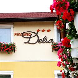 Pensiunea Delia, Timişoara program de funcționare