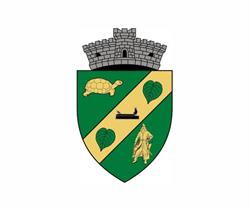 Primăria Comunei Dudeştii Noi, program de funcționare