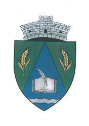 Primăria Vădeni, program de funcționare