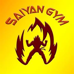 Saiyan Gym Drăgăşani, program de funcționare