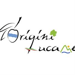Origini Lucane, Bucureşti program de funcționare