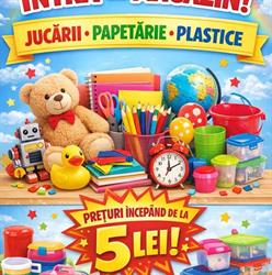 Mirus4All, Salonta program de funcționare