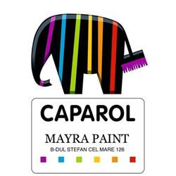 CAPAROL ORADEA MAYRA PAINT SRL, Oradea program de funcționare