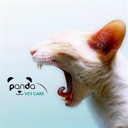 Panda Vet Care - Cat Friendly Clinic, Bucureşti program de funcționare