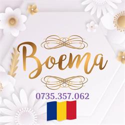 Boema - Centru de evenimente Targoviste, Găeşti program de funcționare