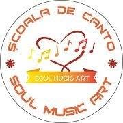 Şcoala de canto Soul Music Art - România, Bârlad program de funcționare