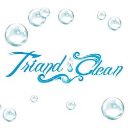 Triand Clean Curatatorie Chimica Targoviste, program de funcționare