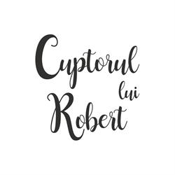 Cuptorul lui Robert, Braşov program de funcționare