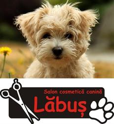 Salon Labus cosmetica canina, Timişoara program de funcționare