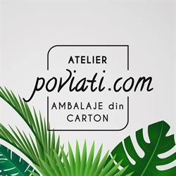 Atelier Poviati, Baia Mare program de funcționare