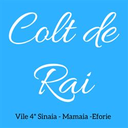 Vila Colt de Rai Sinaia, program de funcționare