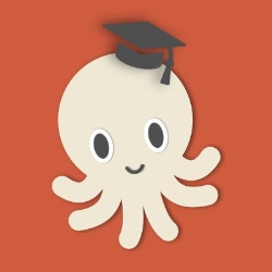 Octofun Academy, Cluj-Napoca program de funcționare
