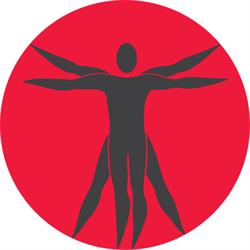 Human, Bucureşti program de funcționare