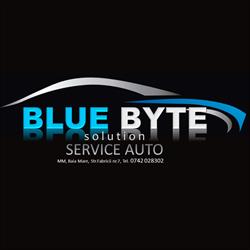 Blue Byte Solution, Baia Mare program de funcționare