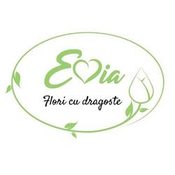 Floraria Evia, Bucureşti program de funcționare